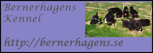 Banner klar