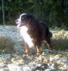 image-0010.jpg